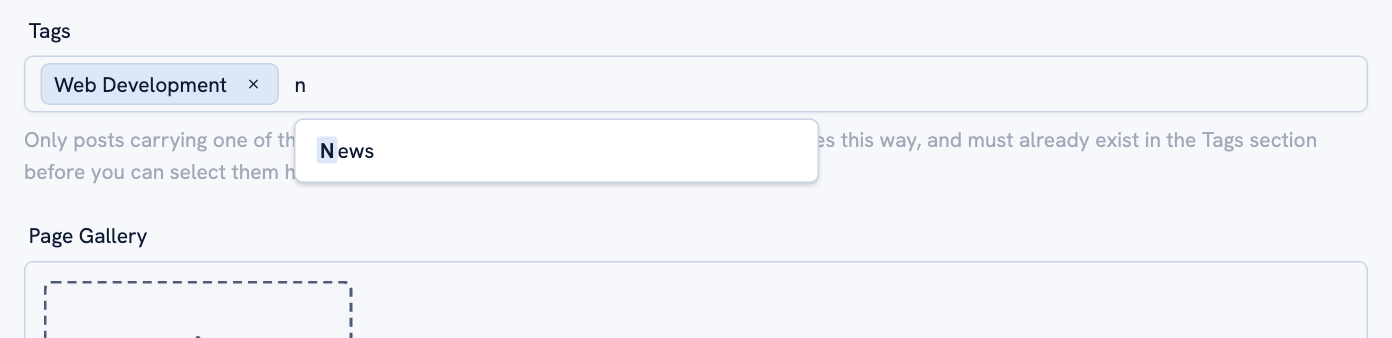 The tags field on a post, with a tag already added and the autocomplete suggesting another.